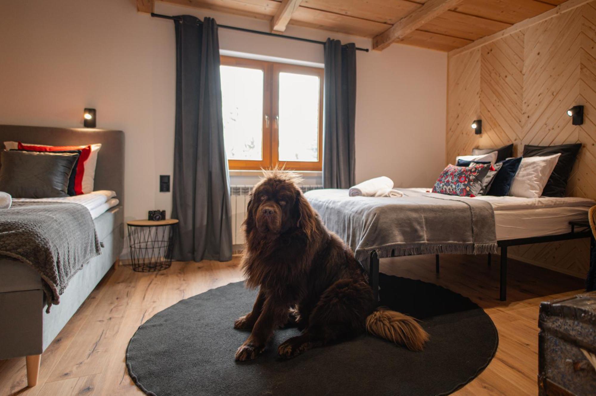 Apartamento Stryszek Alpinistyczny *